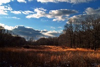Hickory Run, State Park, Sky View